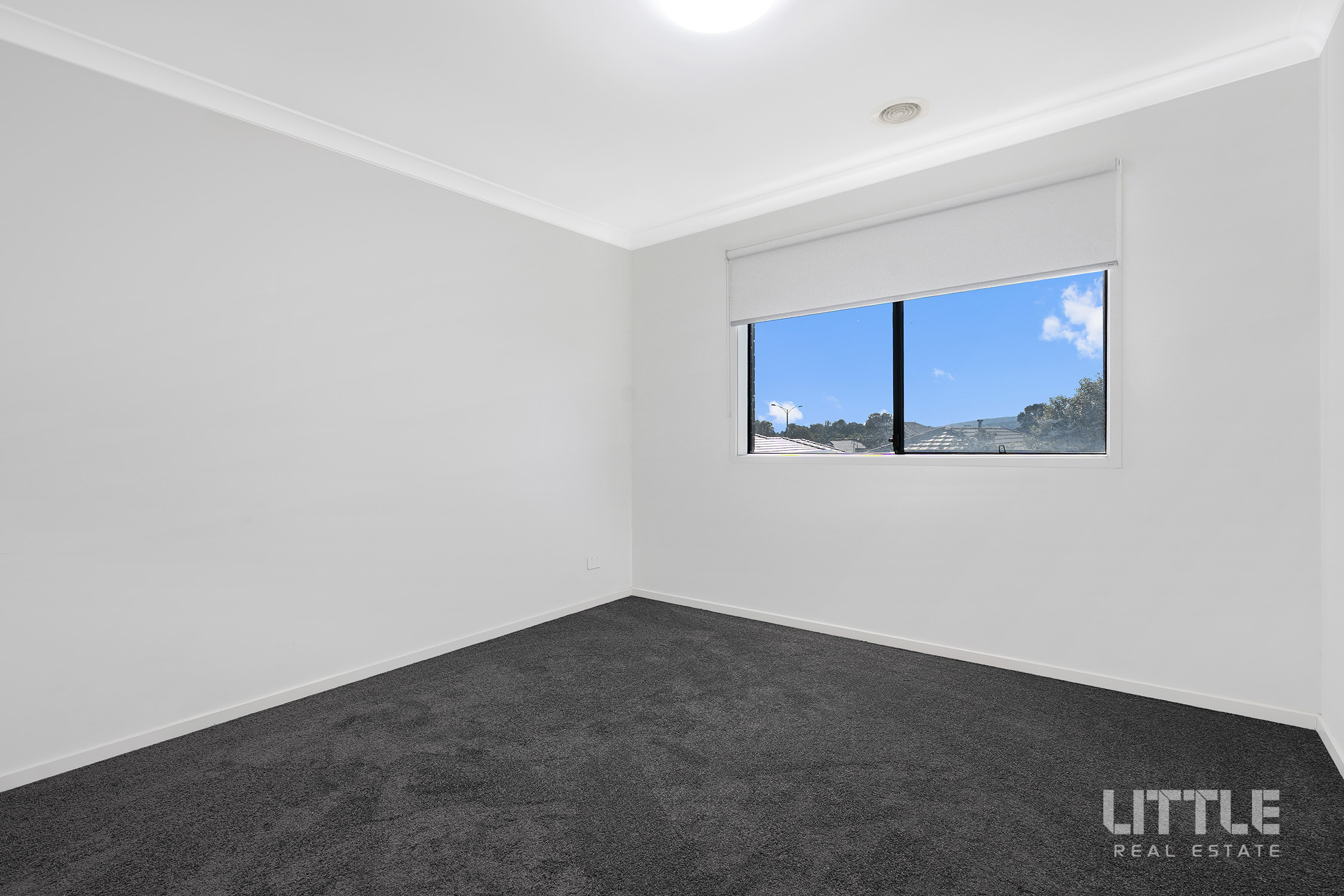 209327361__1783915973-72729-Dsc03043Copy